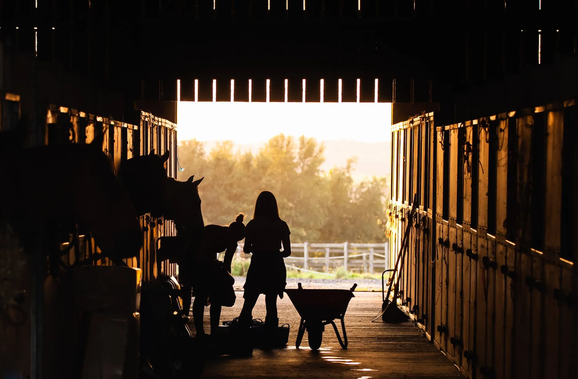 silhouette of women feeding horses at cheval property management