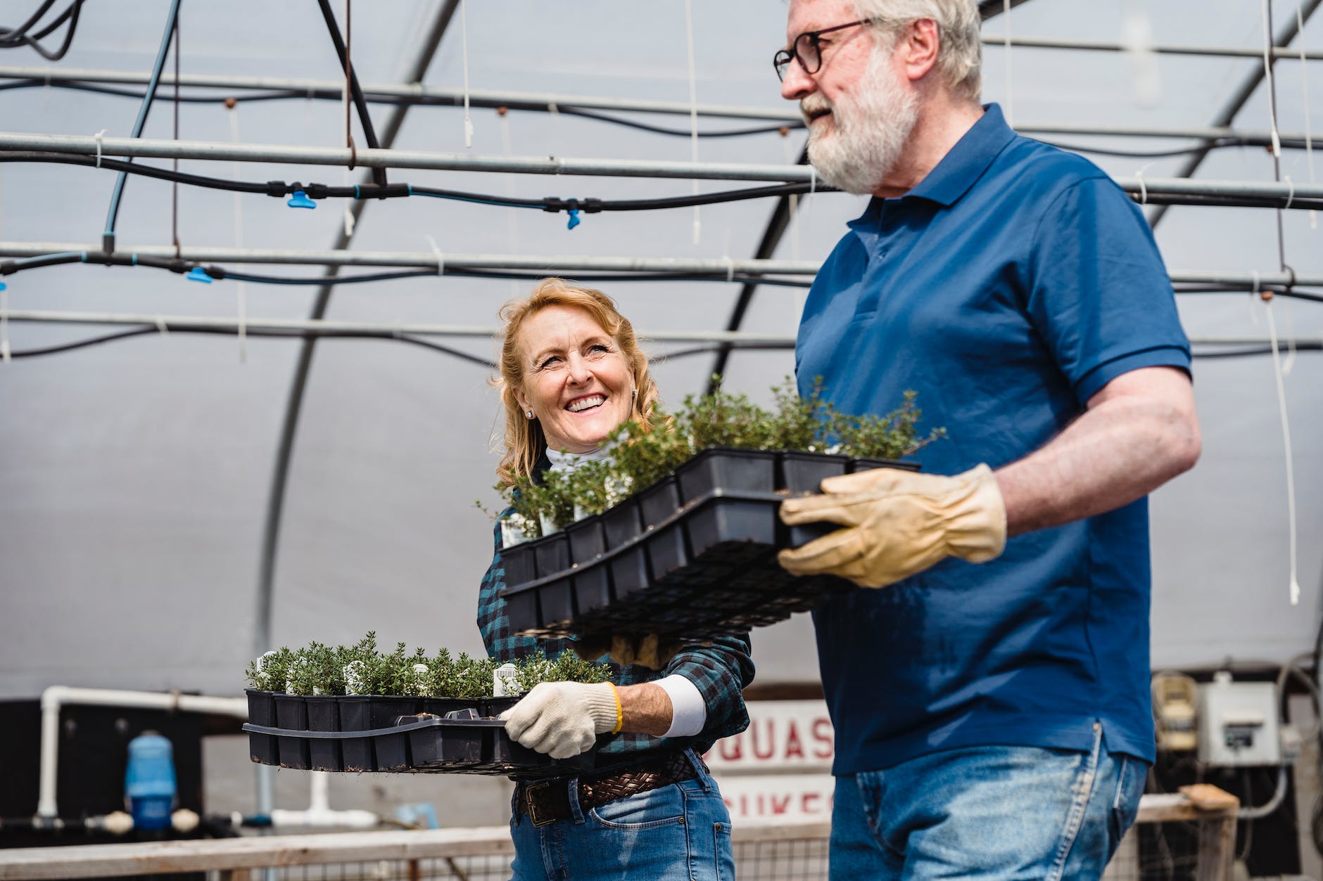 man and woman carrying potted plants in Angeline Community